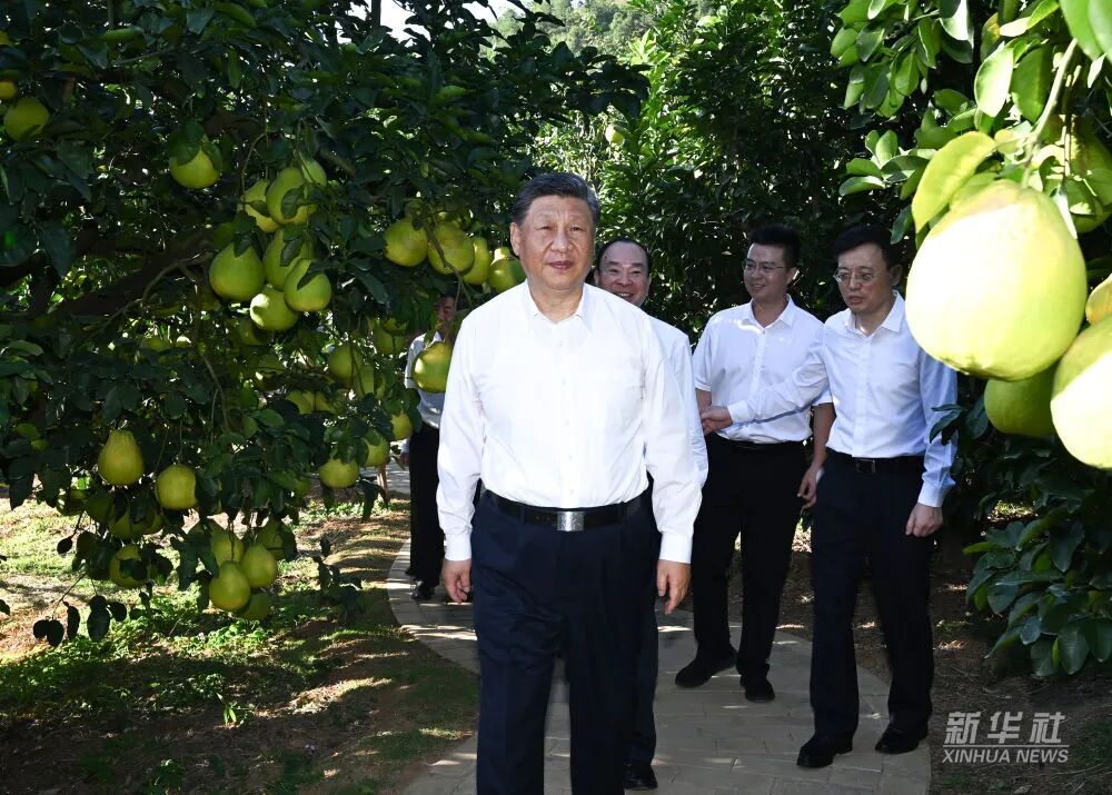 J9国际站备用【唯一】官方网站
